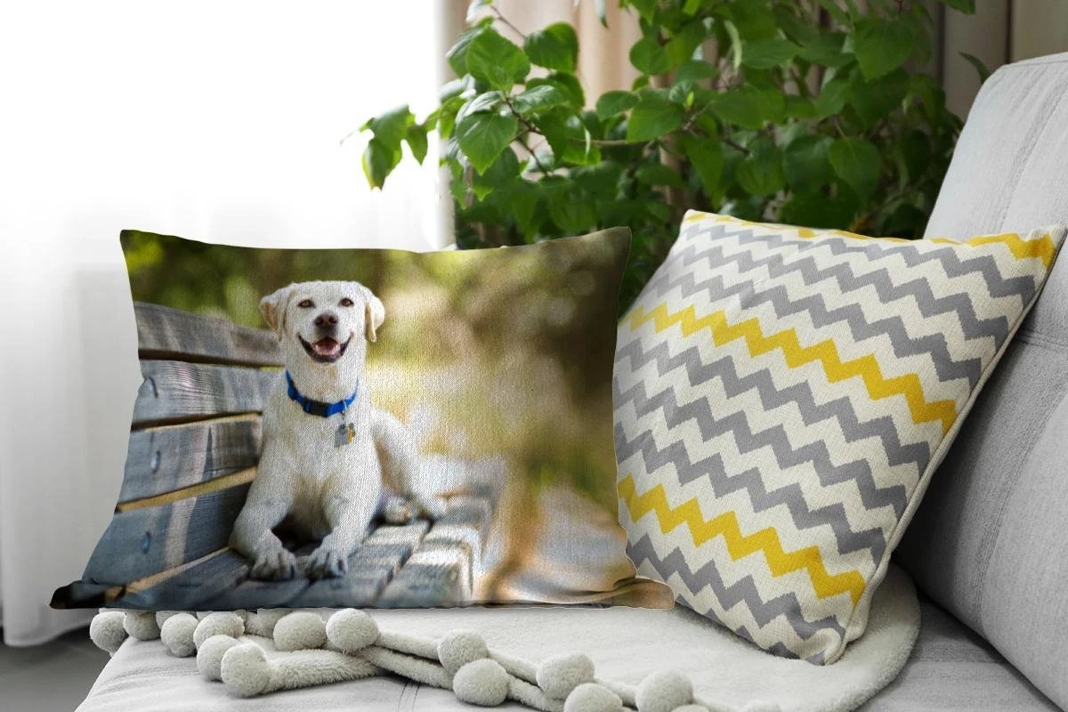 Sierkussen Honden Voor Binnen - Labrador Retriever Op Een Bankje - 60x40 Cm - Rechthoekig Binnenkussen Van Katoen 6 Sierkussen Honden Voor Binnen - Labrador Retriever Op Een Bankje - 60x40 Cm - Rechthoekig Binnenkussen Van Katoen - Afbeelding 4