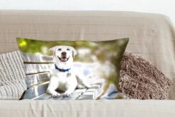 Sierkussen Honden Voor Binnen - Labrador Retriever Op Een Bankje - 60x40 Cm - Rechthoekig Binnenkussen Van Katoen 17 Sierkussen Honden Voor Binnen - Labrador Retriever Op Een Bankje - 60x40 Cm - Rechthoekig Binnenkussen Van Katoen -Pillowmonkey 1200x800 2480