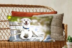 Sierkussen Honden Voor Binnen - Labrador Retriever Op Een Bankje - 60x40 Cm - Rechthoekig Binnenkussen Van Katoen 18 Sierkussen Honden Voor Binnen - Labrador Retriever Op Een Bankje - 60x40 Cm - Rechthoekig Binnenkussen Van Katoen -Pillowmonkey 1200x800 2481