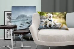 Sierkussen Honden Voor Binnen - Labrador Retriever Op Een Bankje - 60x40 Cm - Rechthoekig Binnenkussen Van Katoen 19 Sierkussen Honden Voor Binnen - Labrador Retriever Op Een Bankje - 60x40 Cm - Rechthoekig Binnenkussen Van Katoen -Pillowmonkey 1200x800 2482