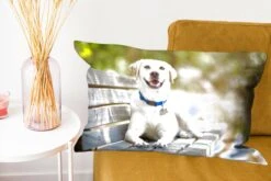 Sierkussen Honden Voor Binnen - Labrador Retriever Op Een Bankje - 60x40 Cm - Rechthoekig Binnenkussen Van Katoen 20 Sierkussen Honden Voor Binnen - Labrador Retriever Op Een Bankje - 60x40 Cm - Rechthoekig Binnenkussen Van Katoen -Pillowmonkey 1200x800 2483