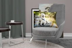 Sierkussen Honden Voor Binnen - Labrador Retriever Op Een Bankje - 60x40 Cm - Rechthoekig Binnenkussen Van Katoen 22 Sierkussen Honden Voor Binnen - Labrador Retriever Op Een Bankje - 60x40 Cm - Rechthoekig Binnenkussen Van Katoen -Pillowmonkey 1200x800 2484