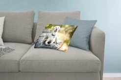 Sierkussen Honden Voor Binnen - Labrador Retriever Op Een Bankje - 60x40 Cm - Rechthoekig Binnenkussen Van Katoen 23 Sierkussen Honden Voor Binnen - Labrador Retriever Op Een Bankje - 60x40 Cm - Rechthoekig Binnenkussen Van Katoen -Pillowmonkey 1200x800 2485