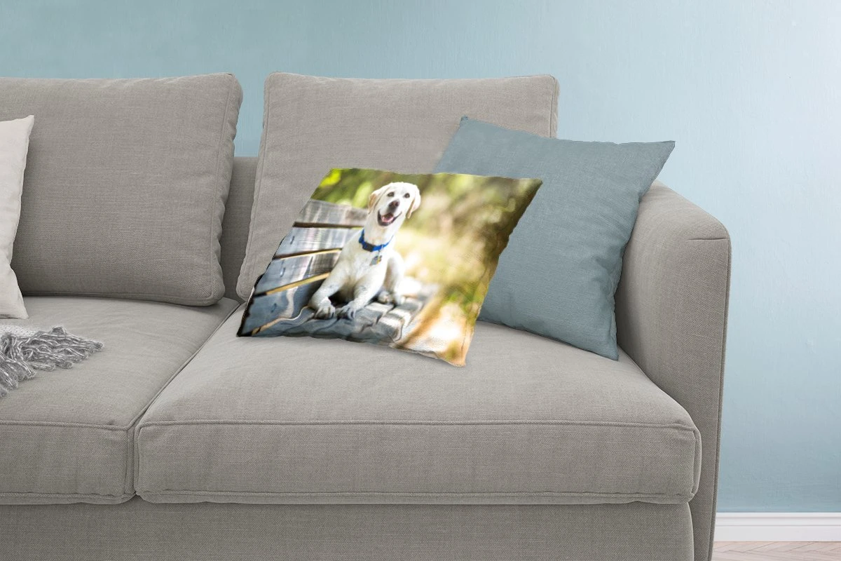 Sierkussen Honden Voor Binnen - Labrador Retriever Op Een Bankje - 60x40 Cm - Rechthoekig Binnenkussen Van Katoen 13 Sierkussen Honden Voor Binnen - Labrador Retriever Op Een Bankje - 60x40 Cm - Rechthoekig Binnenkussen Van Katoen - Afbeelding 11