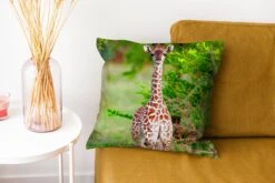 Sierkussen - Baby Giraffe Planten - Multicolor - 40 Cm X 40 Cm -Pillowmonkey 1200x800 2493