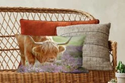 Sierkussens - Kussen - Grazende Schotse Hooglander - 50x30 Cm - Kussen Van Katoen -Pillowmonkey 1200x800 2497