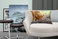 Sierkussens - Kussen - Grazende Schotse Hooglander - 50x30 Cm - Kussen Van Katoen -Pillowmonkey 1200x800 2498