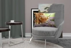 Sierkussens - Kussen - Grazende Schotse Hooglander - 50x30 Cm - Kussen Van Katoen -Pillowmonkey 1200x800 2500