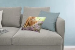 Sierkussens - Kussen - Grazende Schotse Hooglander - 50x30 Cm - Kussen Van Katoen -Pillowmonkey 1200x800 2501