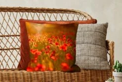Sierkussen - Gloed Over De Klaprozen In Het Veld - Multicolor - 45 Cm X 45 Cm -Pillowmonkey 1200x800 2514