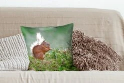 Sierkussen - Eekhoorn Bos Mos - Groen - 45 Cm X 45 Cm -Pillowmonkey 1200x800 2576