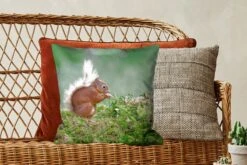 Sierkussen - Eekhoorn Bos Mos - Groen - 45 Cm X 45 Cm -Pillowmonkey 1200x800 2577