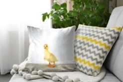 Sierkussens - Kussen - Eendje Dierenprint - 45x45 Cm - Kussen Van Katoen -Pillowmonkey 1200x800 2662