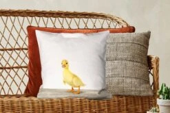 Sierkussens - Kussen - Eendje Dierenprint - 45x45 Cm - Kussen Van Katoen -Pillowmonkey 1200x800 2664