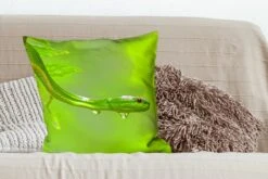 Sierkussens - Kussentjes Woonkamer - 60x60 Cm - Groene Slang Van Dichtbij -Pillowmonkey 1200x800 2692