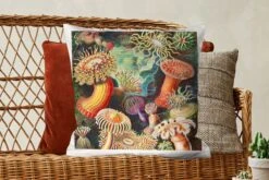 Sierkussens - Kussentjes Woonkamer - 60x60 Cm - Ernst Haeckel - Anemoon - Retro - Natuur - Planten - Zee -Pillowmonkey 1200x800 2697