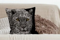 Sierkussens - Kussentjes Woonkamer - 60x60 Cm - Zwart-wit Foto Van Een Gekleurde Luipaard -Pillowmonkey 1200x800 2707