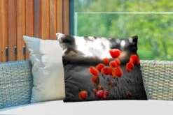 Buitenkussens - Tuin - Rode Klaprozen Tegen Zwarte Met Witte Achtergrond - 60x40 Cm -Pillowmonkey 1200x800 2740