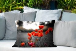 Buitenkussens - Tuin - Rode Klaprozen Tegen Zwarte Met Witte Achtergrond - 60x40 Cm -Pillowmonkey 1200x800 2741