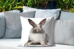 Buitenkussens - Tuin - Zittend Konijn Fotoafdruk - 50x50 Cm -Pillowmonkey 1200x800 2757