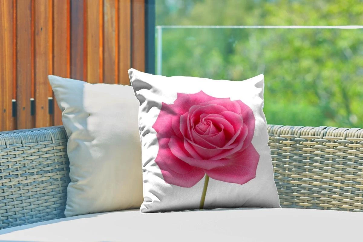 Sierkussen Roze Roos Voor Buiten - Close-up Van Enkele Roze Roos Op Witte Achtergrond - 40x40 Cm - Vierkant Weerbestendig Tuinkussen / Tuinmeubelkussen Van Polyester 5 Sierkussen Roze Roos Voor Buiten - Close-up Van Enkele Roze Roos Op Witte Achtergrond - 40x40 Cm - Vierkant Weerbestendig Tuinkussen / Tuinmeubelkussen Van Polyester - Afbeelding 3