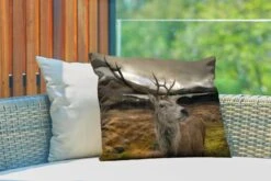 Buitenkussens - Tuin - Hert Van Nabij Weergeven - 60x40 Cm 9 Buitenkussens - Tuin - Hert Van Nabij Weergeven - 60x40 Cm -Pillowmonkey 1200x800 2800