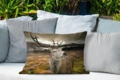 Buitenkussens - Tuin - Hert Van Nabij Weergeven - 60x40 Cm 10 Buitenkussens - Tuin - Hert Van Nabij Weergeven - 60x40 Cm -Pillowmonkey 1200x800 2801