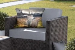 Buitenkussens - Tuin - Hert Van Nabij Weergeven - 60x40 Cm 11 Buitenkussens - Tuin - Hert Van Nabij Weergeven - 60x40 Cm -Pillowmonkey 1200x800 2802
