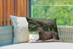 Sierkussen Capibara Voor Buiten - Een Capibara Met Een Klein Vogeltje Op Zich - 50x30 Cm - Rechthoekig Weerbestendig Tuinkussen / Tuinmeubelkussen Van Polyester -Pillowmonkey 1200x800 2844