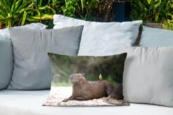 Sierkussen Capibara Voor Buiten - Een Capibara Met Een Klein Vogeltje Op Zich - 50x30 Cm - Rechthoekig Weerbestendig Tuinkussen / Tuinmeubelkussen Van Polyester -Pillowmonkey 1200x800 2845