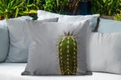 Buitenkussens - Tuin - Cactus Botanische Print - 60x60 Cm -Pillowmonkey 1200x800 2857
