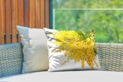 Buitenkussens - Tuin - Veel Mimosa Planten Op Een Witte Achtergrond - 50x30 Cm -Pillowmonkey 1200x800 2860