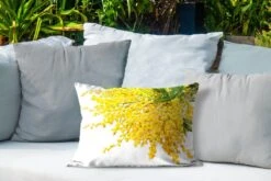 Buitenkussens - Tuin - Veel Mimosa Planten Op Een Witte Achtergrond - 50x30 Cm -Pillowmonkey 1200x800 2861