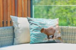 Sierkussen Capibara Voor Buiten - Een Capibara Staat Bij Het Water In Zacht Zonlicht - 50x30 Cm - Rechthoekig Weerbestendig Tuinkussen / Tuinmeubelkussen Van Polyester -Pillowmonkey 1200x800 2864