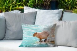 Sierkussen Capibara Voor Buiten - Een Capibara Staat Bij Het Water In Zacht Zonlicht - 50x30 Cm - Rechthoekig Weerbestendig Tuinkussen / Tuinmeubelkussen Van Polyester -Pillowmonkey 1200x800 2865