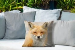 Buitenkussens - Tuin - Portretfoto Rode Vos - 40x40 Cm -Pillowmonkey 1200x800 2873