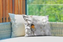 Buitenkussens - Tuin - Roodborstje Op Een Dunne Tak In De Winter - 50x30 Cm -Pillowmonkey 1200x800 2876