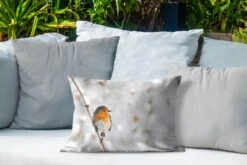 Buitenkussens - Tuin - Roodborstje Op Een Dunne Tak In De Winter - 50x30 Cm -Pillowmonkey 1200x800 2877