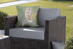 Buitenkussens - Tuin - Bruine Uil Op Een Dun Takje - 45x45 Cm -Pillowmonkey 1200x800 2882