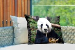 Buitenkussens - Tuin - Panda Die Bamboe Eet - 60x40 Cm -Pillowmonkey 1200x800 2915