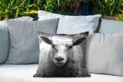 Buitenkussens - Tuin - Schaap Bij Een Hek In Zwart-wit - 45x45 Cm -Pillowmonkey 1200x800 2928