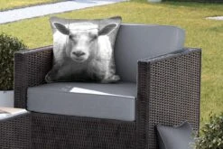 Buitenkussens - Tuin - Schaap Bij Een Hek In Zwart-wit - 45x45 Cm -Pillowmonkey 1200x800 2929
