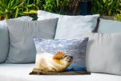 Buitenkussens - Tuin - Een Grappig Zeehond Zwaait - 50x30 Cm -Pillowmonkey 1200x800 2944