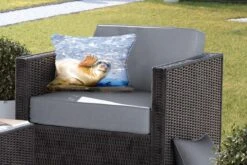 Buitenkussens - Tuin - Een Grappig Zeehond Zwaait - 50x30 Cm -Pillowmonkey 1200x800 2945