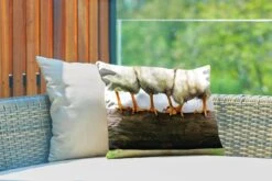Buitenkussens - Tuin - Foto Kippenpoten Afdruk - 50x30 Cm -Pillowmonkey 1200x800 2975