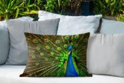 Buitenkussens - Tuin - Een Weergaloze Foto Van Een Groene Pauw Met Gespreide Staart - 60x40 Cm -Pillowmonkey 1200x800 3000