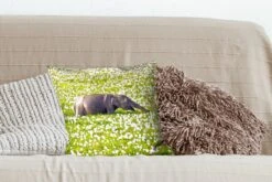 Kussenhoes 40x40 Cm - Olifanten Wandelend Door Het Waterveld Met Planten - Katoen / Polyester - Voor Binnen -Pillowmonkey 1200x800 301