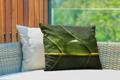 Buitenkussens - Tuin - Foto Van Waterdruppel Op Een Botanisch Blad - 60x40 Cm 9 Buitenkussens - Tuin - Foto Van Waterdruppel Op Een Botanisch Blad - 60x40 Cm -Pillowmonkey 1200x800 3023