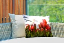 Buitenkussens - Tuin - Rode Tulpen In De Zon - 50x30 Cm -Pillowmonkey 1200x800 3031