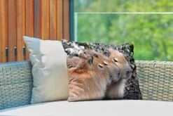 Sierkussen Capibara Voor Buiten - Drie Capibaras Die Op Een Rij Rusten - 50x30 Cm - Rechthoekig Weerbestendig Tuinkussen / Tuinmeubelkussen Van Polyester -Pillowmonkey 1200x800 3039